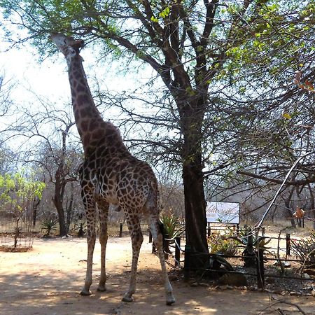 Weltevrede Lodge - Self Catering Houses Marloth Park Kültér fotó