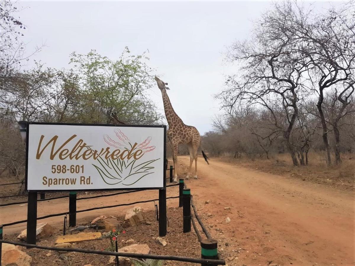 Weltevrede Lodge - Self Catering Houses Marloth Park Kültér fotó